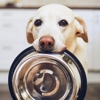 Petsense by Tractor Supply gallery