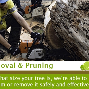 Trimmer Tree - Wonthaggi, VIC. Tree Removal & Pruning