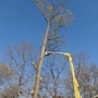 Axpert Tree Svc