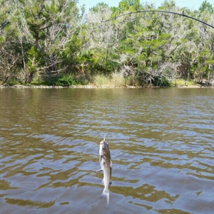 Tomoka State Park Museum - Ormond Beach, FL