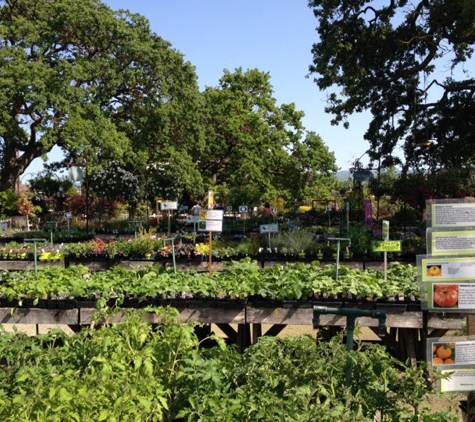 Alden Lane Nursery - Livermore, CA