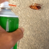 Anver Pest Control gallery