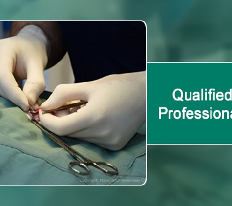Maroondah Veterinary Clinic - Croydon, VIC. Qualified And Professional Staff