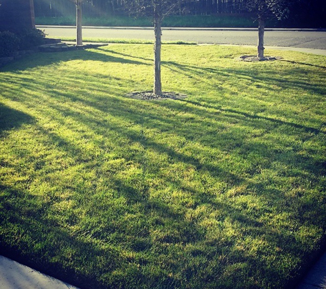 HD Lawn Care & Landscape Maintenance