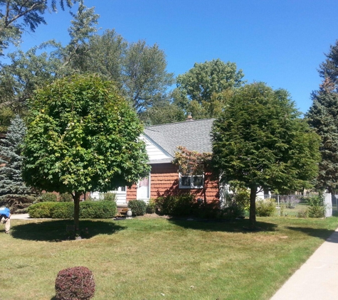 Family Tree Removal - Utica, MI