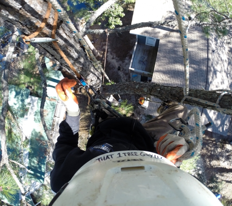 That 1 Tree Guy LLC - Niceville, FL