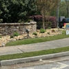 Lopez Tree Services and Landscaping gallery