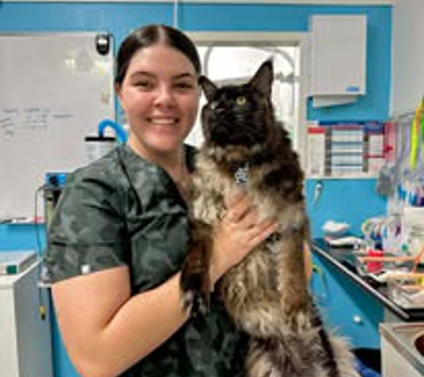 Hammett Street Veterinary Surgery - Currajong, QLD