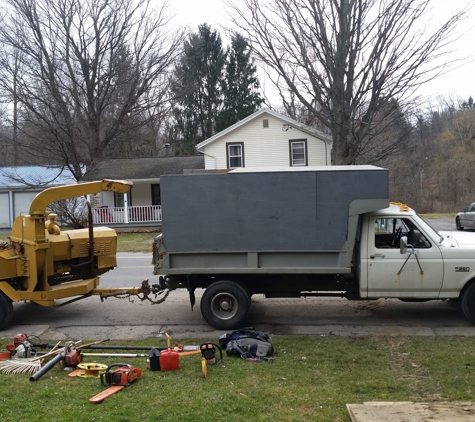 L&S Tree Service - Buffalo, NY