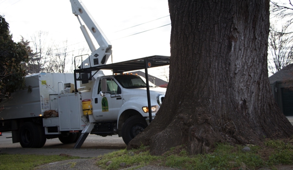 A & E Arborists Tree Care - Yuba City, CA