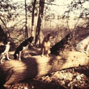 Mission Impawsible Dog Training - Pet Training