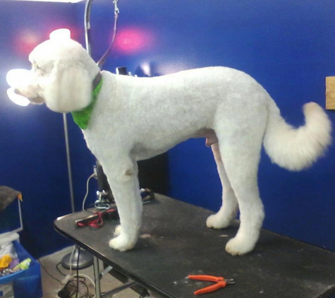 Blue Angel Pet Salon & Day Care - Pensacola, FL