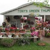 Tony's Green Thumb gallery