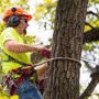 Jesse James Tree Service & Landscape