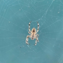 ProSource Pest Solutions - Pest Control Equipment & Supplies