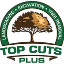 Top Cuts Tree Service & Landscaping - Tree Service