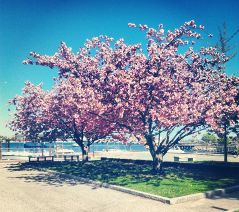 Prescott Park - Portsmouth, NH