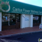 Cactus Flower Chiropractic Center
