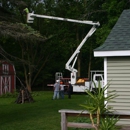 Allen Benjamin Tree Care - Tree Service