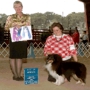 ALL-STAR SHELTIES KENNEL