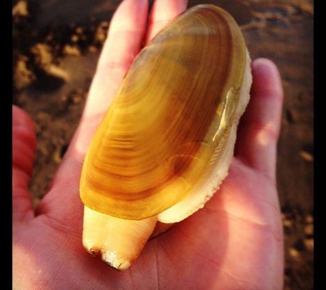 Fort Stevens State Park - Hammond, OR