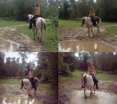 Salt Creek Stables - Valparaiso, IN