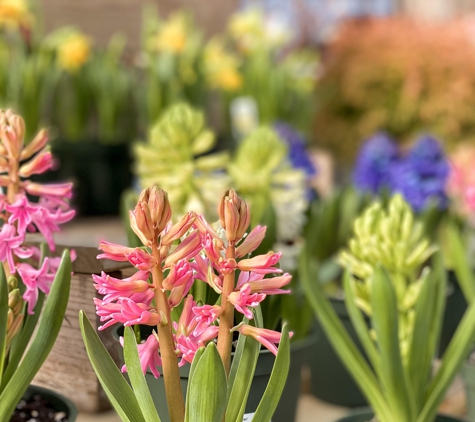 Berns Garden Center - Beavercreek, OH