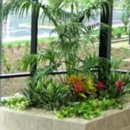 Creative Interior Plantscapes - Plants-Interior Design & Maintenance