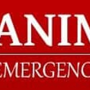 Animal Emergency Clinic - Veterinary Clinics & Hospitals