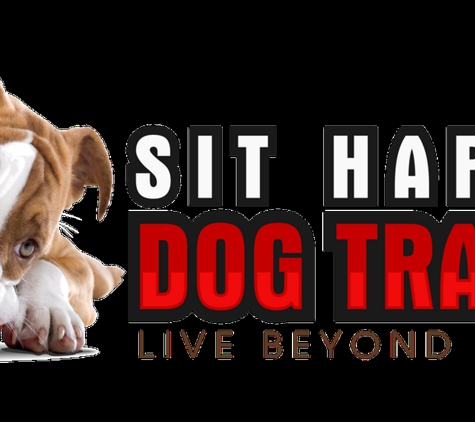 Sit Happens Dog Training Florida