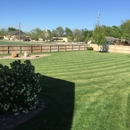 Forever Green Turf Solutions LLC - Landscaping & Lawn Services