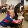 Boston to Dog Training Elite Bristol - Plymouth gallery