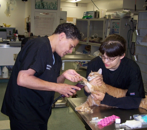 Metropolitan Animal Emergency and Speciality Centre - Rockville, MD
