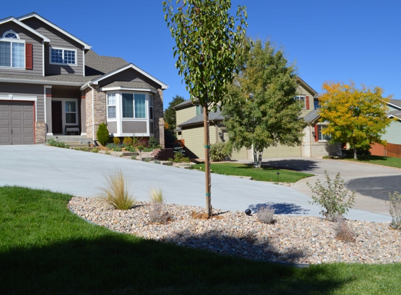 From Thorns To Fir Trees Irrigation - Aurora, CO