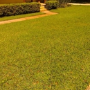 Grow N Green - Landscaping & Lawn Services