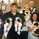 Ash Creek Animal Hospital & Spa - Veterinary Clinics & Hospitals