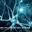 Panama College of Cell Science