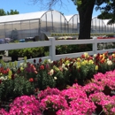 Comisky's Greenhouses Inc - Plants