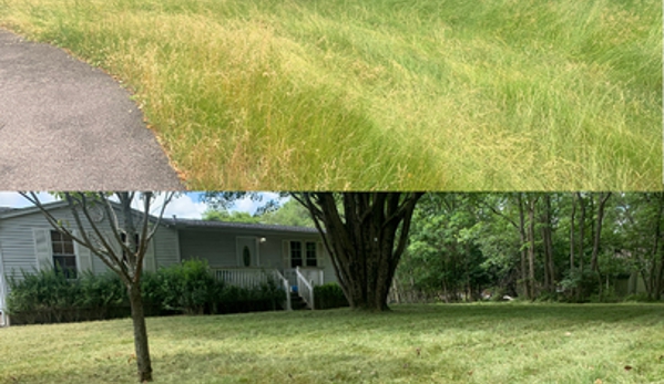 Marians Grass Cutting & Power Washing Services - Effort, PA