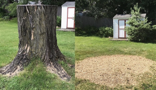 Stump Wrecker - Latham, NY. Stump removal Latham NY