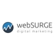 webSURGE