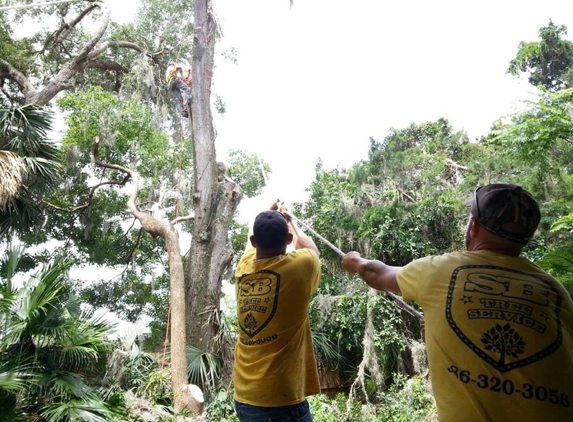 SB Tree Service - Ormond Beach, FL