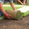 Pro-Edge Lawn Landscaping gallery