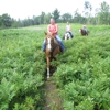 Hoofbeat Ridge Ranch Riding Stable gallery