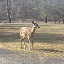 Beech Fork State Park - State Parks