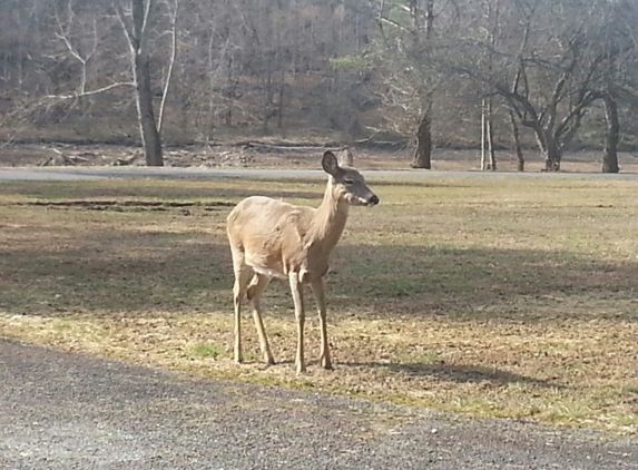 Beech Fork State Park - Barboursville, WV