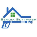 Senoia Softwash - Building Cleaning-Exterior