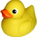 Rubber Ducky Pools - Swimming Pool Repair & Service