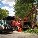 Charron Tree Service - Tree Service