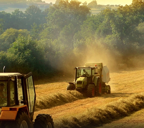 Leroy's Backhoe & Plant Hire - Heathcote, VIC
